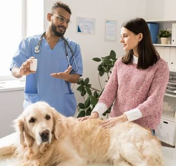 veterinario hablando con la dueña del perro